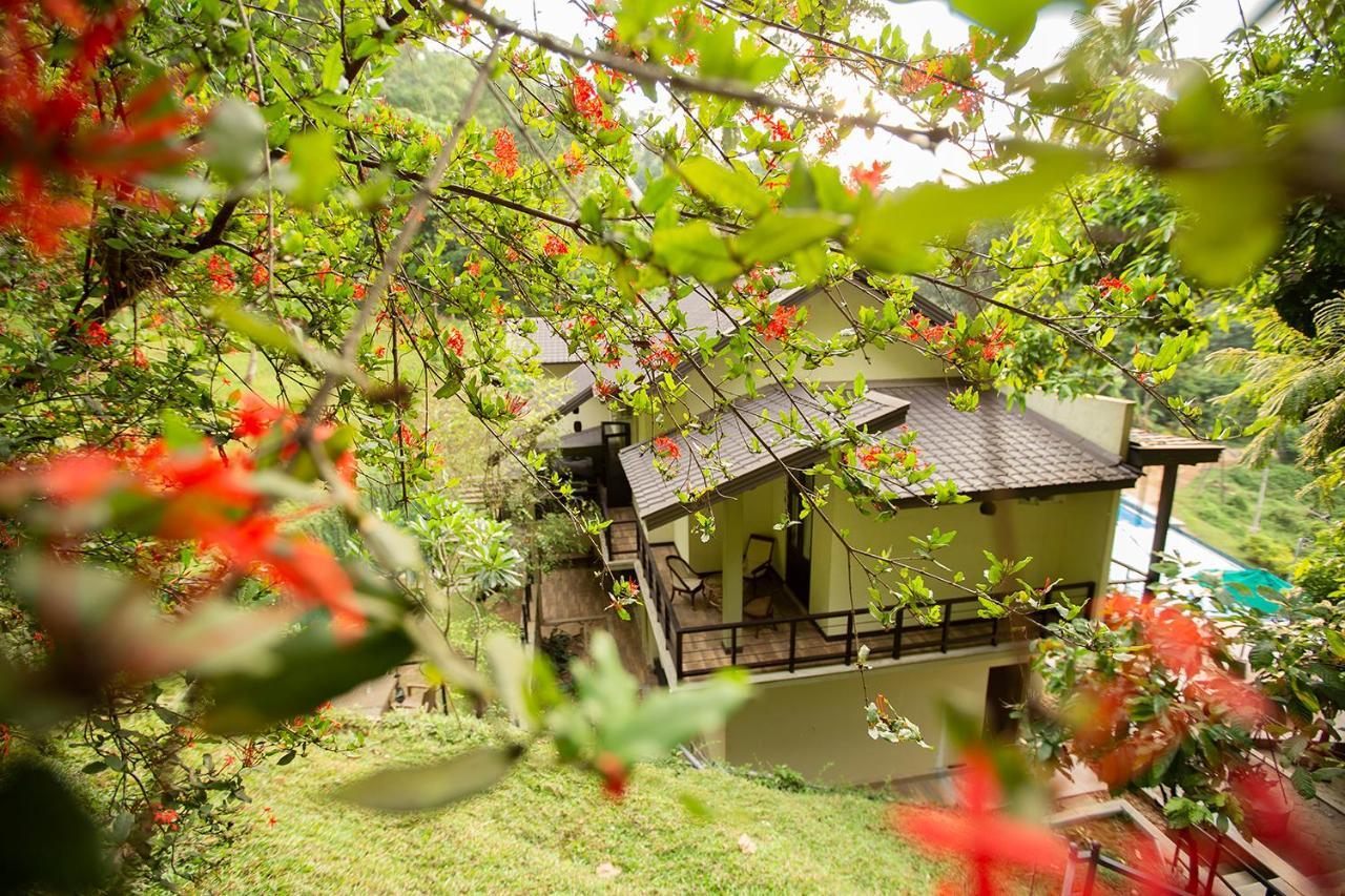 Huluganga Ridge, Kandy Karalliyadda Kültér fotó
