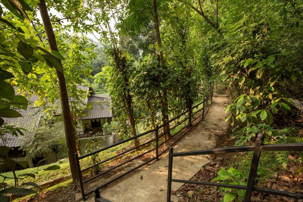 Huluganga Ridge, Kandy Karalliyadda Kültér fotó